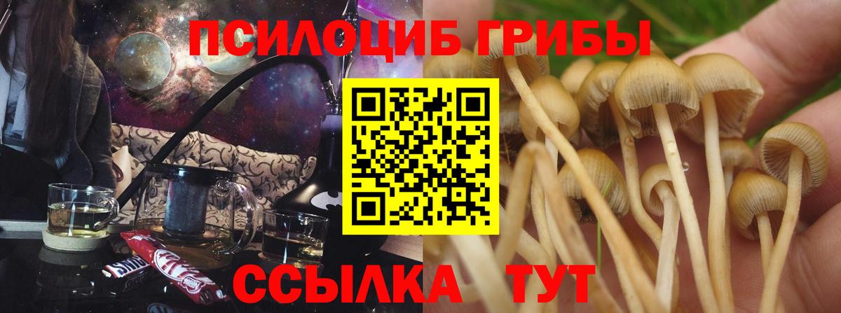 Галлюциногенные грибы Cubensis  Вход с VPN  Дзержинский  Галлюциногенные грибы GOLDEN TEACHER 